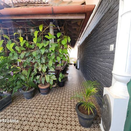 Kairali Palace Home Stay Thekkady Exteriér fotografie